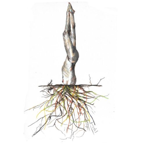 raices